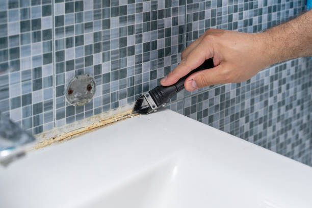 Best Mold Cleaning Services  in Sioux Center, IA