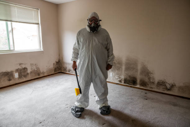 Best Affordable Mold Removal  in Sioux Center, IA
